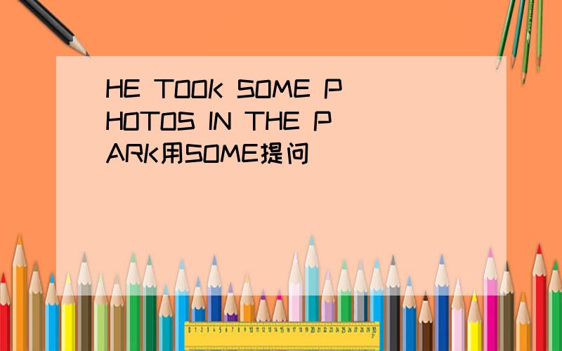 HE TOOK SOME PHOTOS IN THE PARK用SOME提问