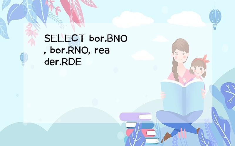 SELECT bor.BNO, bor.RNO, reader.RDE
