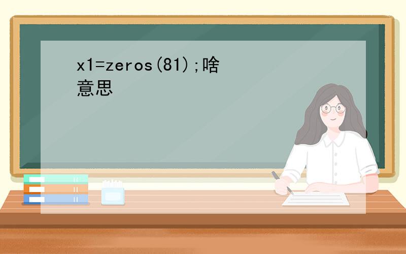 x1=zeros(81);啥意思