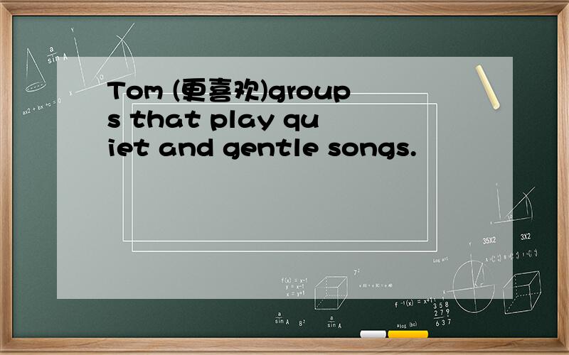 Tom (更喜欢)groups that play quiet and gentle songs.