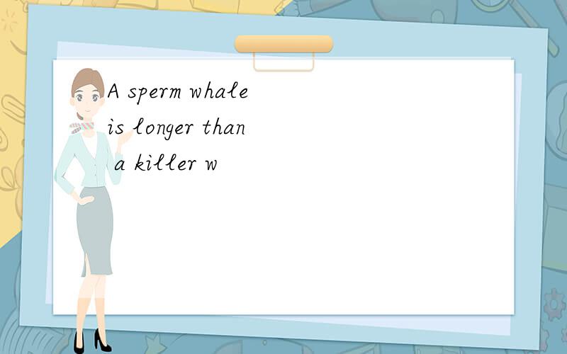 A sperm whale is longer than a killer w