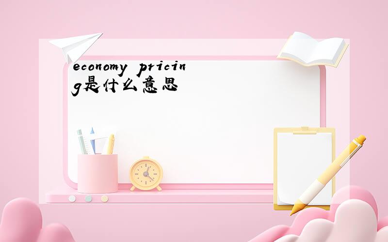 economy pricing是什么意思