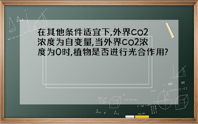 在其他条件适宜下,外界CO2浓度为自变量,当外界CO2浓度为0时,植物是否进行光合作用?