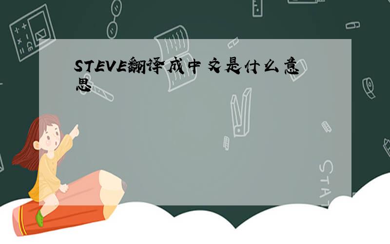 STEVE翻译成中文是什么意思
