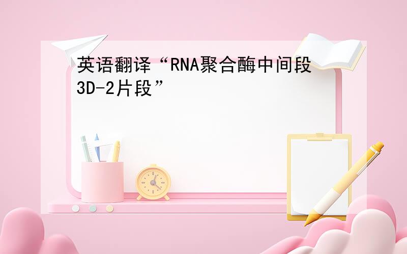 英语翻译“RNA聚合酶中间段3D-2片段”