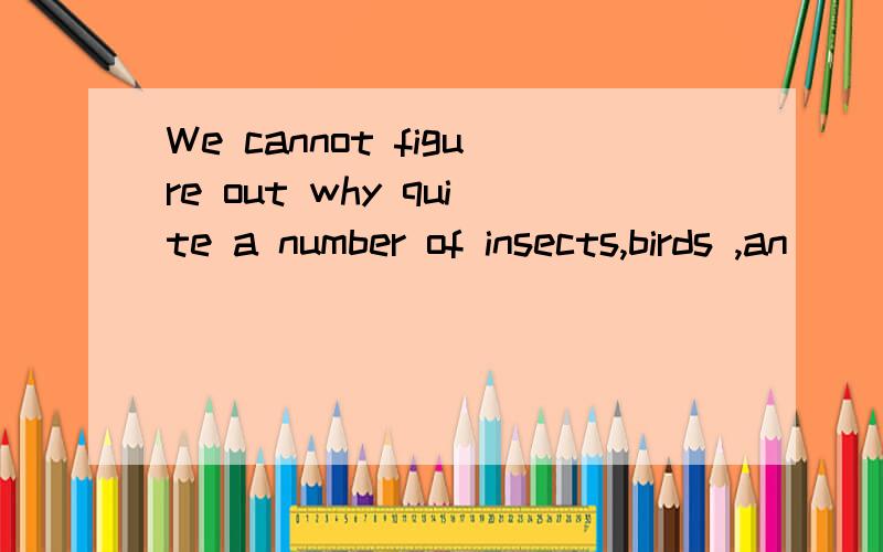 We cannot figure out why quite a number of insects,birds ,an