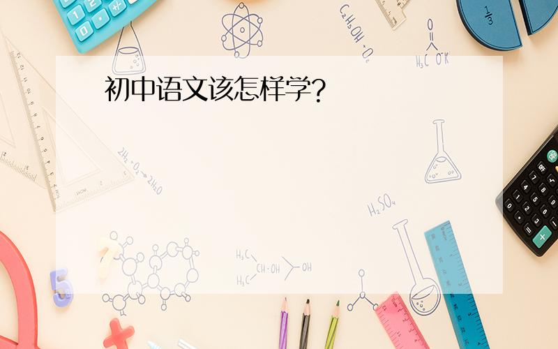 初中语文该怎样学?