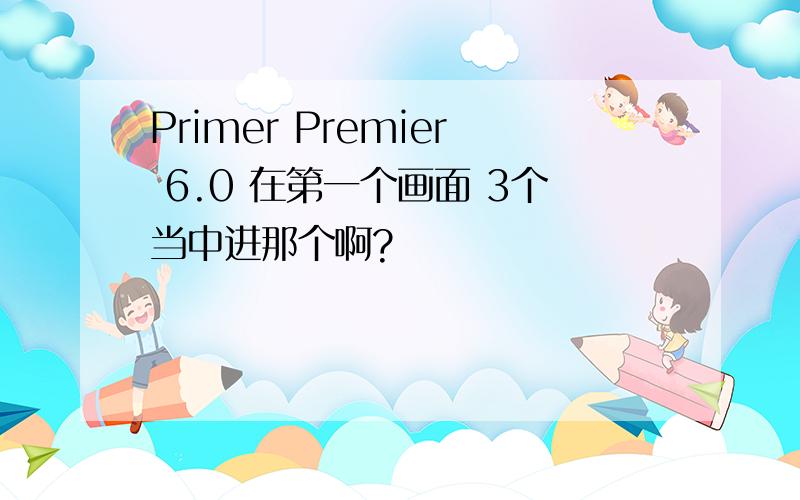 Primer Premier 6.0 在第一个画面 3个当中进那个啊?