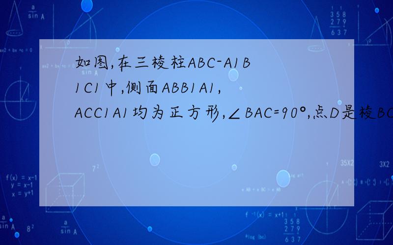 如图,在三棱柱ABC-A1B1C1中,侧面ABB1A1,ACC1A1均为正方形,∠BAC=90°,点D是棱BC的中点.求