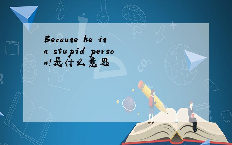 Because he is a stupid person!是什么意思