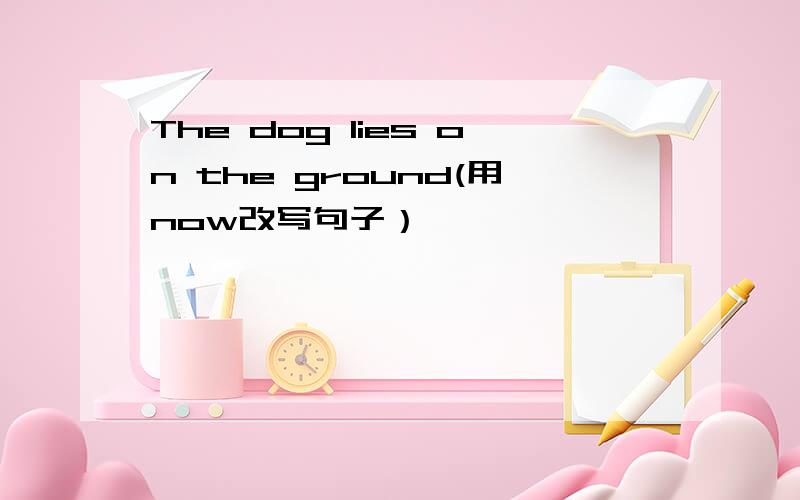 The dog lies on the ground(用now改写句子）