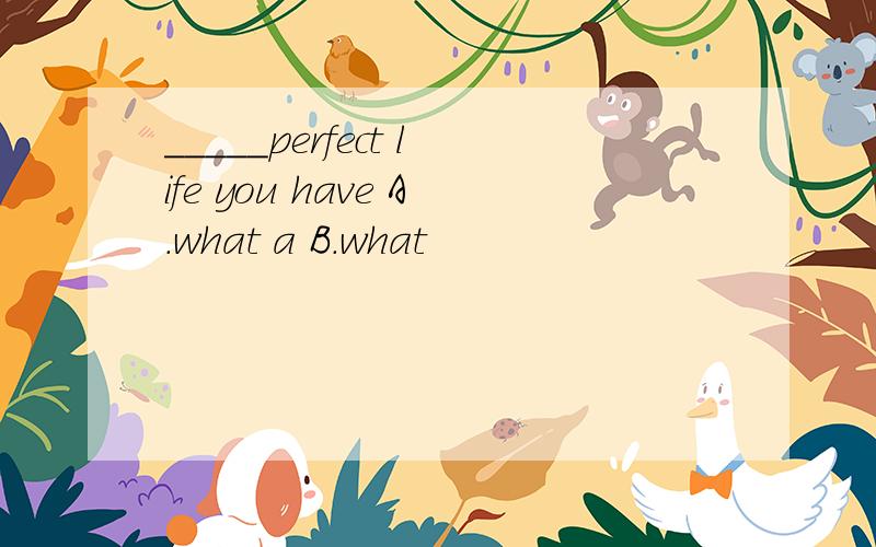 _____perfect life you have A.what a B.what