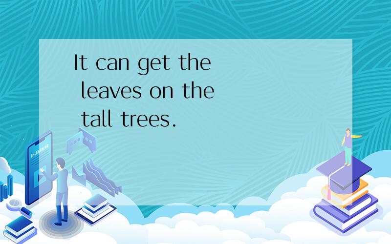 It can get the leaves on the tall trees.
