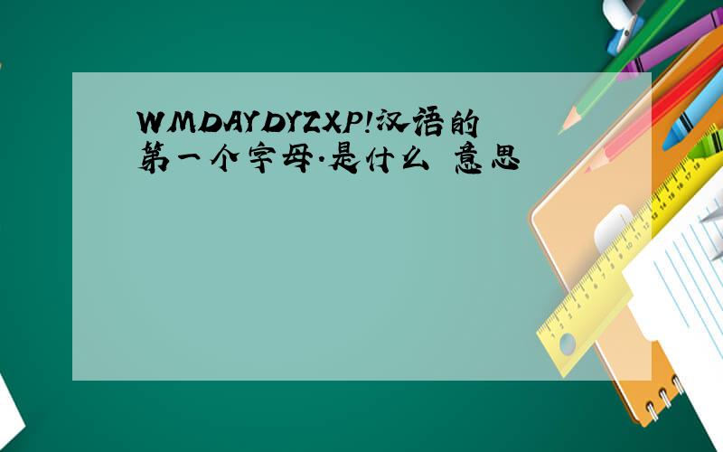 WMDAYDYZXP!汉语的第一个字母.是什么 意思