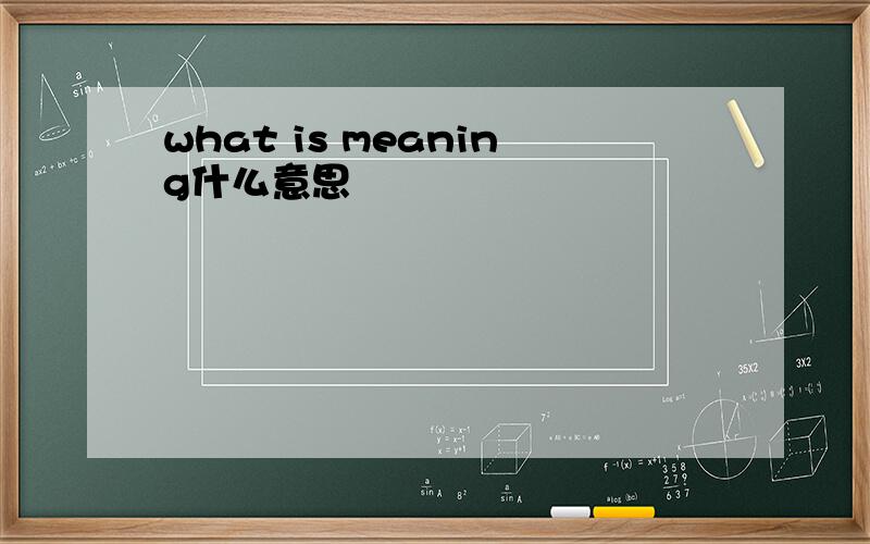 what is meaning什么意思