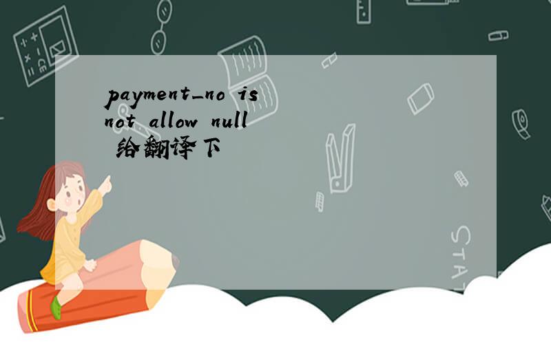 payment_no is not allow null 给翻译下