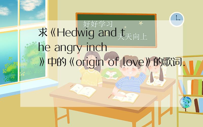 求《Hedwig and the angry inch 》中的《origin of love》的歌词.