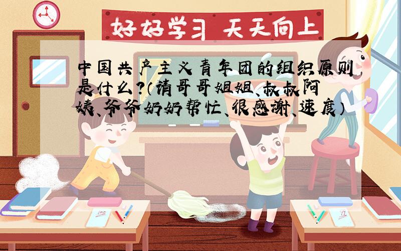 中国共产主义青年团的组织原则是什么?（请哥哥姐姐、叔叔阿姨、爷爷奶奶帮忙、很感谢、速度）