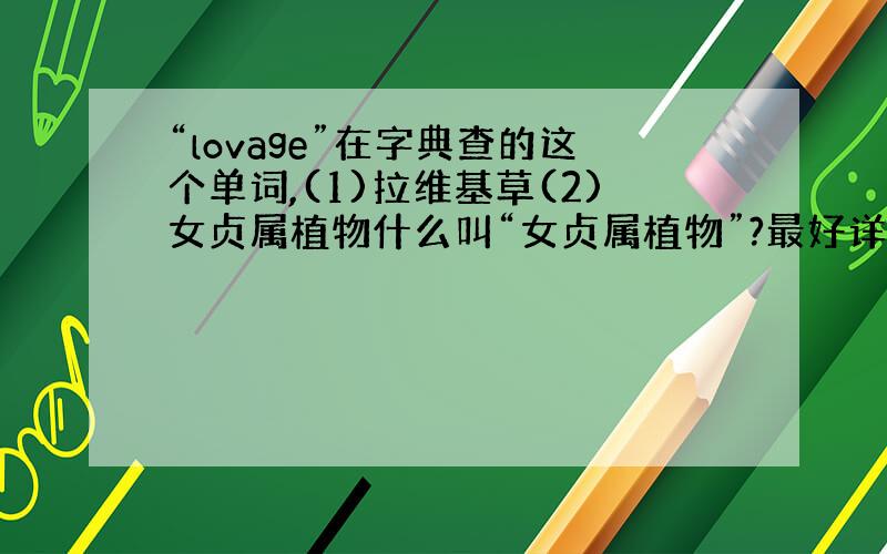“lovage”在字典查的这个单词,(1)拉维基草(2)女贞属植物什么叫“女贞属植物”?最好详细点有举例最好,