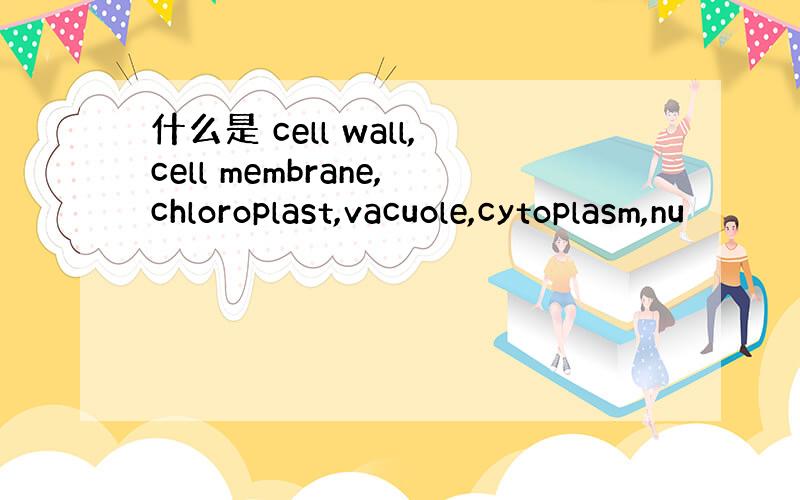 什么是 cell wall,cell membrane,chloroplast,vacuole,cytoplasm,nu