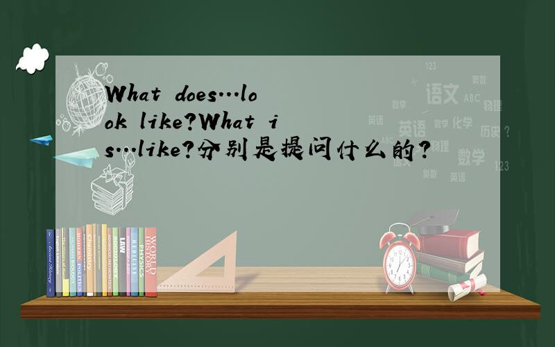 What does...look like?What is...like?分别是提问什么的?